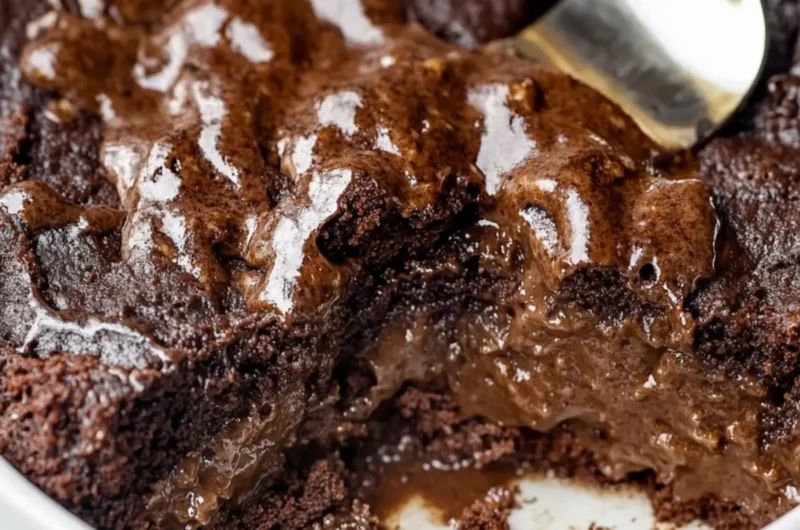 Gluten-Free Chocolate Pudding Cake (Dairy-Free)
